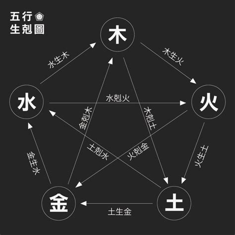 動物五行|五行